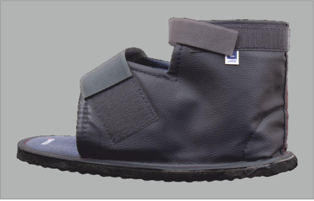 Manufacturer - Exporter of Cast Shoe in Delhi